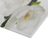 White Magnolia Flower Magnolias Floral Flowers Snijplank (Hoek)