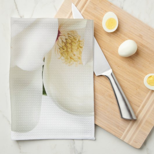 White Magnolia Flower Magnolias Floral Flowers Theedoek (Quarter Fold)