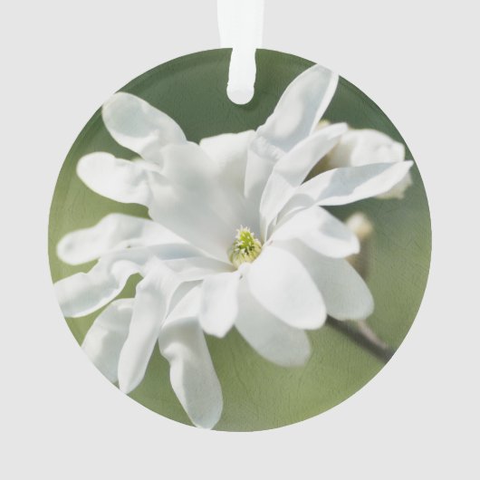 White Magnolia Flower Ornament (achterkant)