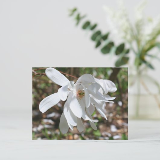 White Magnolia Flower Personalized Briefkaart (Staand voorkant)