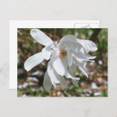 White Magnolia Flower Personalized Briefkaart (Voorkant / Achterkant)