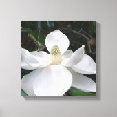 White Magnolia Flower Photographic Botanical Canvas Afdruk (Voorkant)