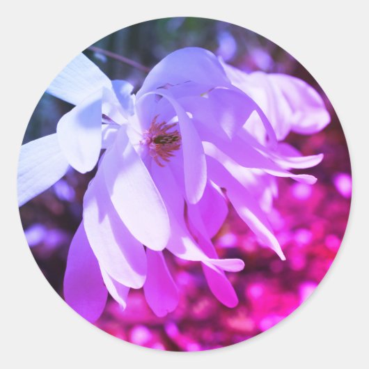 White Magnolia Flower Tinted Ronde Sticker (Voorkant)