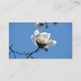 White Magnolia Flower Visitekaartjes Blue Sky
