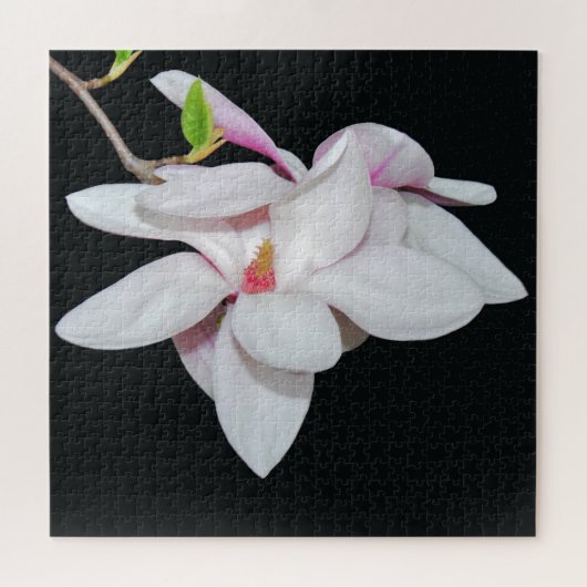 White Magnolia Legpuzzel (Horizontaal)