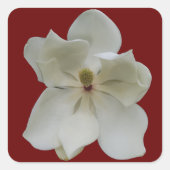 White Magnolia on sticker (Voorkant)