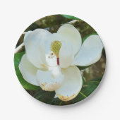 White Magnolia Paper Bord (Voorkant)