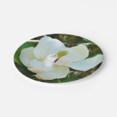 White Magnolia Paper Bord (Gekanteld)