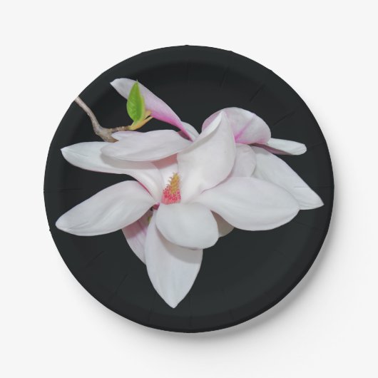 White Magnolia Papieren Bordje (Voorkant)