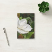 White Magnolia Post-it® Notes (Kantoor)