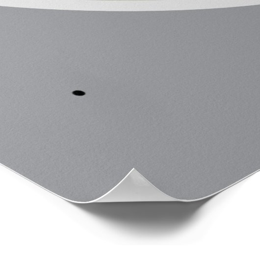 White Magnolia Poster (Hoek)