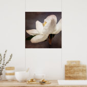 White Magnolia Tree Flower Floral Flowers Grey Poster (Keuken)