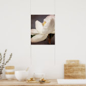 White Magnolia Tree Flower Floral Flowers Grey Poster (Keuken)