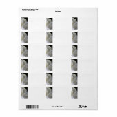 White Magnolia - Weddenschap Adresetiketten Etiket (Full Sheet)