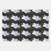 White Magnolia Wrapping Paper Flat Sheet Set van 3 (Voorkant 3)