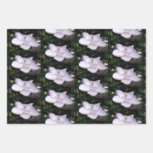 White Magnolia Wrapping Paper Flat Sheet Set van 3 (Voorkant 2)