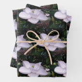 White Magnolia Wrapping Paper Flat Sheet Set van 3 (In situ)