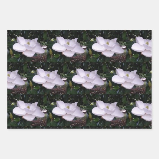 White Magnolia Wrapping Paper Flat Sheet Set van 3 (Voorkant)
