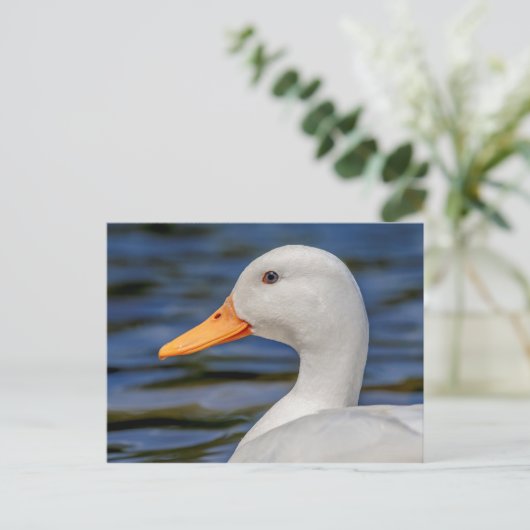 White Mallard Duck Briefkaart (Staand voorkant)