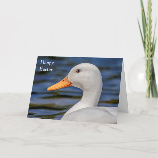 White Mallard Duck Feestdagen Kaart (Voorkant)