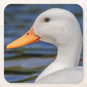 White Mallard Duck Kartonnen Onderzetters