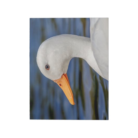 White Mallard Duck Notitieblok (Linkerzijde)