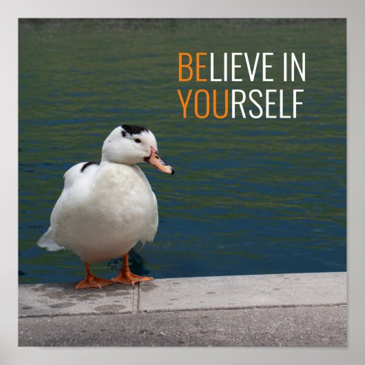 White Mallard Duck Photo Poster (Voorkant)