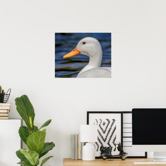 White Mallard Duck Poster (Thuiskantoor)