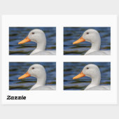 White Mallard Duck Rechthoekige Sticker (Vel)