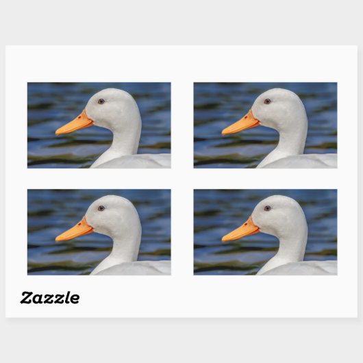 White Mallard Duck Rechthoekige Sticker (Vel)