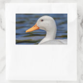 White Mallard Duck Rechthoekige Sticker (Tas)