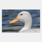 White Mallard Duck Rechthoekige Sticker (Voorkant)