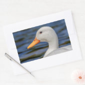 White Mallard Duck Rechthoekige Sticker (Envelop)