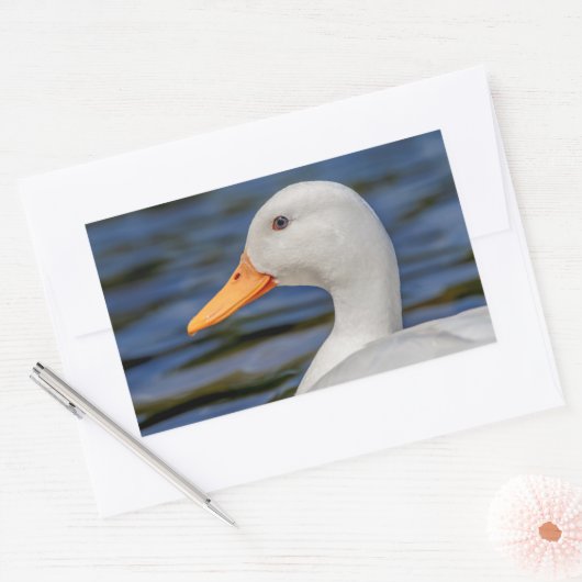 White Mallard Duck Rechthoekige Sticker (Envelop)