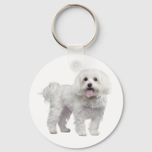 White Maltese Puppy Dog Custom Sleutelhanger (Voorkant)