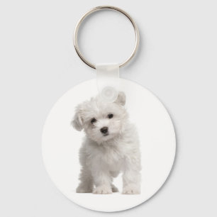 White Maltese Puppy Dog Love Custom Sleutelhanger