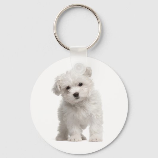 White Maltese Puppy Dog Love Custom Sleutelhanger (Voorkant)
