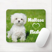 White Maltese Puppy Dog Love Muismat (Met muis)