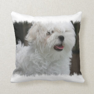 White Maltese Puppy Pillow Kussen