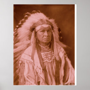 White Man draait hem - Crow Poster