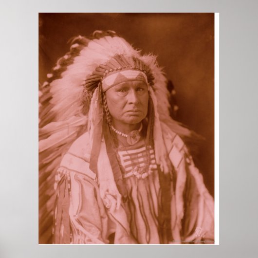 White Man draait hem - Crow Poster (Voorkant)