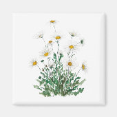 white Margaret daisy waterverf Magneet (Voorkant)