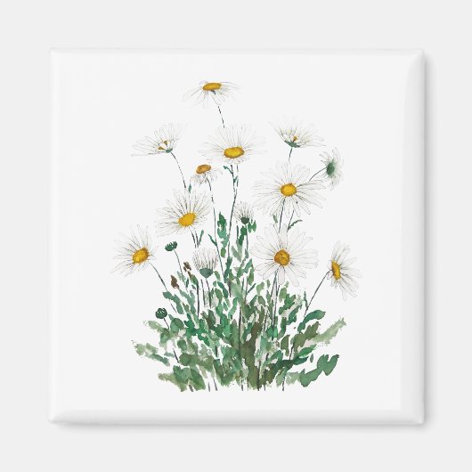white Margaret daisy waterverf Magneet (Voorkant)