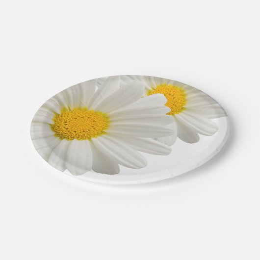 White Marguerite Daisy Paper Party Picnic Borden Papieren Bordje (Gekanteld)