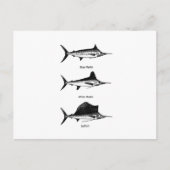 White Marlin - Blue Marlin - Sailfish Logo Briefkaart (Voorkant)