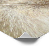 White Meerkat Army en Logo, Poster (Hoek)