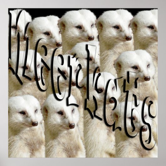 White Meerkat Army en Logo, Poster (Voorkant)