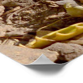 White Meerkat die in de zon staat, Poster (Hoek)