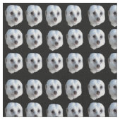 White Meerkat faces on Black, Stof (Close Up)