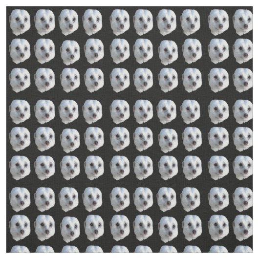 White Meerkat faces on Black, Stof (Swatch)